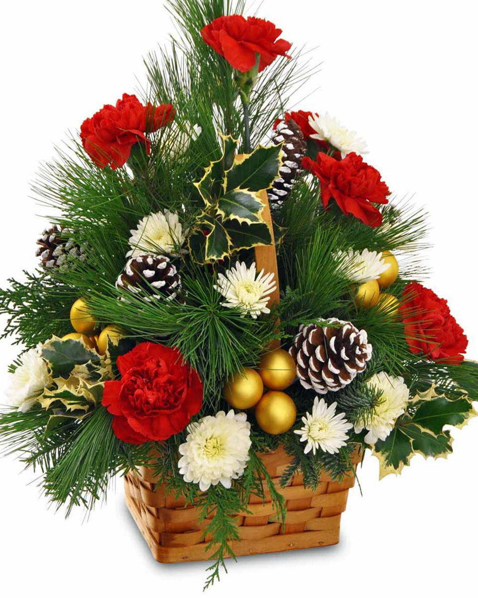 Christmas Forest Standard Pine, Holly, Cedar, Frosted Pine Cones, Gold Christmas Balls, Red Carnations, and White Cushion Pom Pons are traditionally designed in a wicker handle basket.
DELIVERY: Every order is hand-delivered direct to the recipient. These items will be delivered by us locally, or a qualified retail local florist.