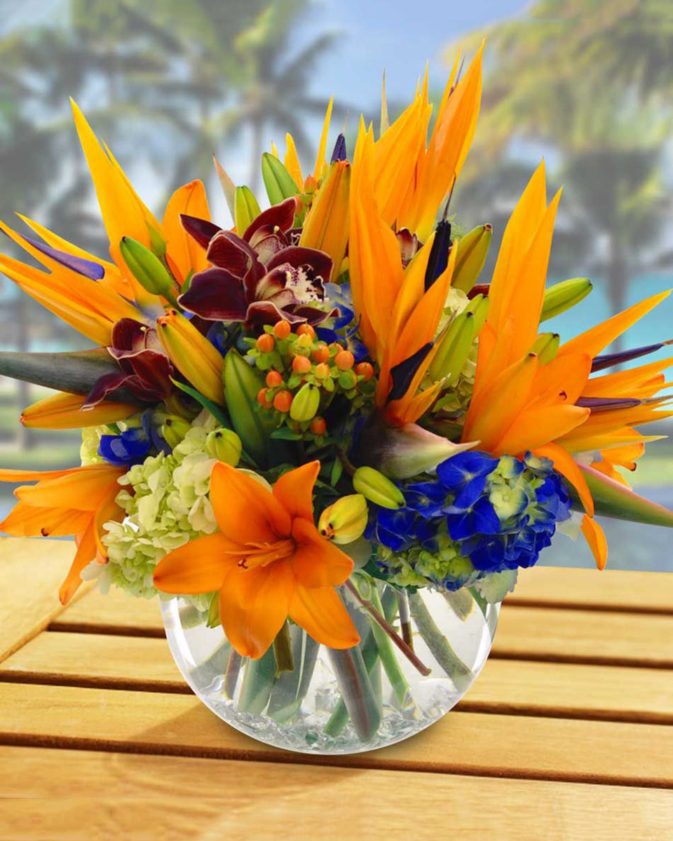 Birds in Hand Standard Birds of Paradise, Hydrangea, Tiger Lillies, Cymbidium Orchids, Hypericum, and Delphinium decorate this Bubble Bowl.
DELIVERY: Every order is hand-delivered direct to the recipient. These items will be delivered by us locally, or a qualified retail local florist.