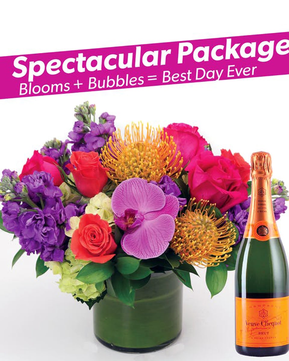 Long Beach Spectacular with Champagne with Veuve Clicquot Champagne 
Long Beach Spectacular with Champagne-Spectacular locally grown pincushion proteas and fragrant lavender stock are stylistically arranged with vibrant pink and orange roses, hydrangea and orchids in a leaf lined vase. Approximately 11