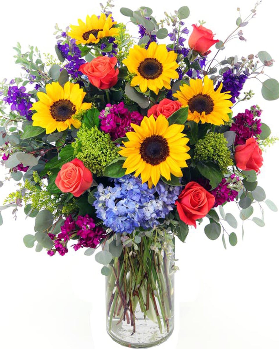 Garden Vibrancy Standard California Sunflowers, Cayenne Roses, Shocking Blue Hydrangea, Stock, Larkspur, and loads more premium greens and textures fill out this beautiful and vibrant arrangement.
Arrangement is approximately 30 inches tall and nearly 24 inches wide.

DELIVERY: Every order is hand-delivered direct to the recipient. These items will be delivered by us locally, or a qualified, retail, local florist.
 