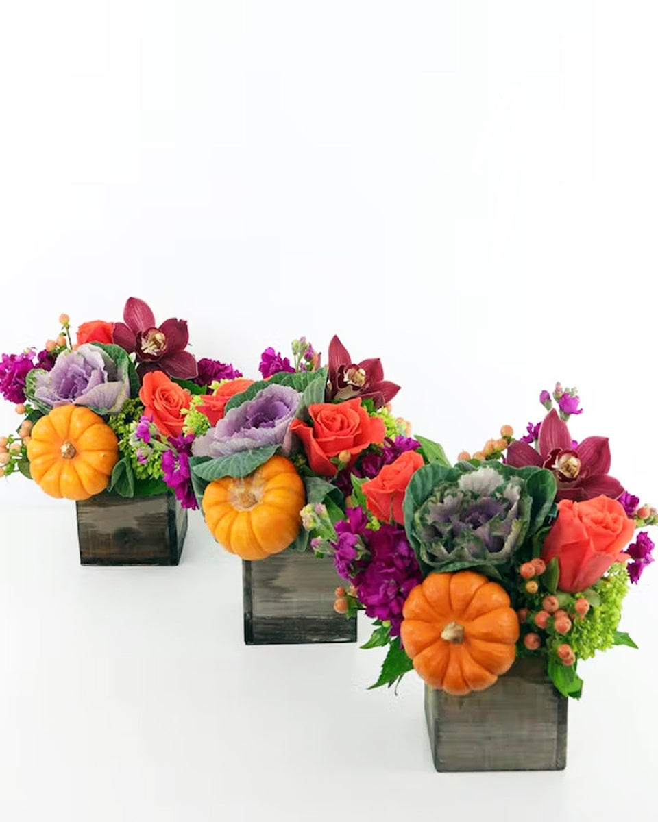 Harvest Trio 4 X 4 Cubes Liven up your Thanksgiving table with this trio of autumnal arrangements! Each arrangement features cayenne roses, mini-green hydrangea, cymbidium orchids, kale and more.
Each arrangement is presented in a 4x4 wooden cube.
 
Local florist only
DELIVERY: Every order is hand-delivered direct to the recipient. This item is only deliverable to local areas serviced by Allen’s Flower Market Stores. 
 