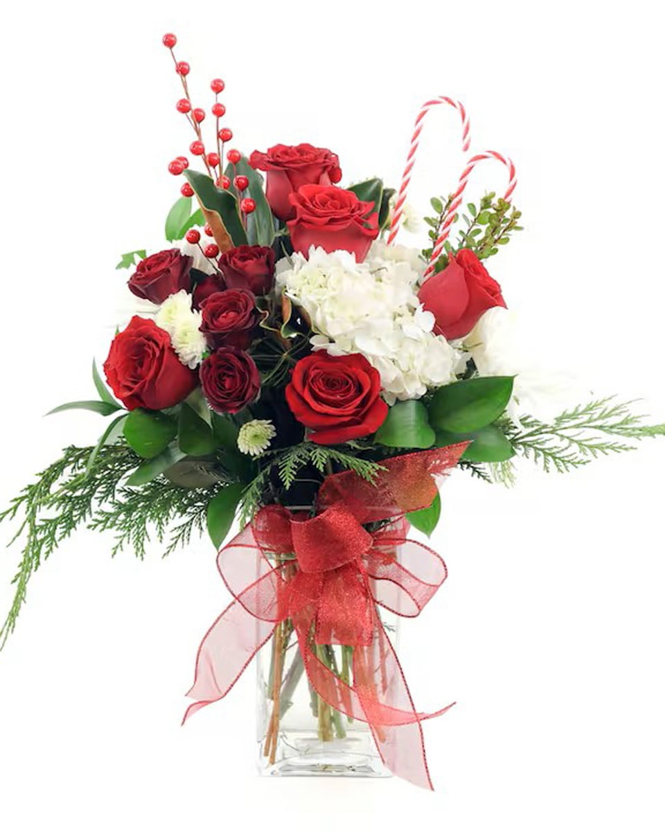 Long Beach Winter Standard Bright red roses and seasonal greens and textures are presented in a designer white and gold ceramic vase.
Standard is presented in a 4.5 x 4.5 container.Premium is presented in a 6 x 6 container.
 
DELIVERY: Every order is hand-delivered direct to the recipient. This item is only deliverable to local areas serviced by Allen’s Flower Market Stores. 