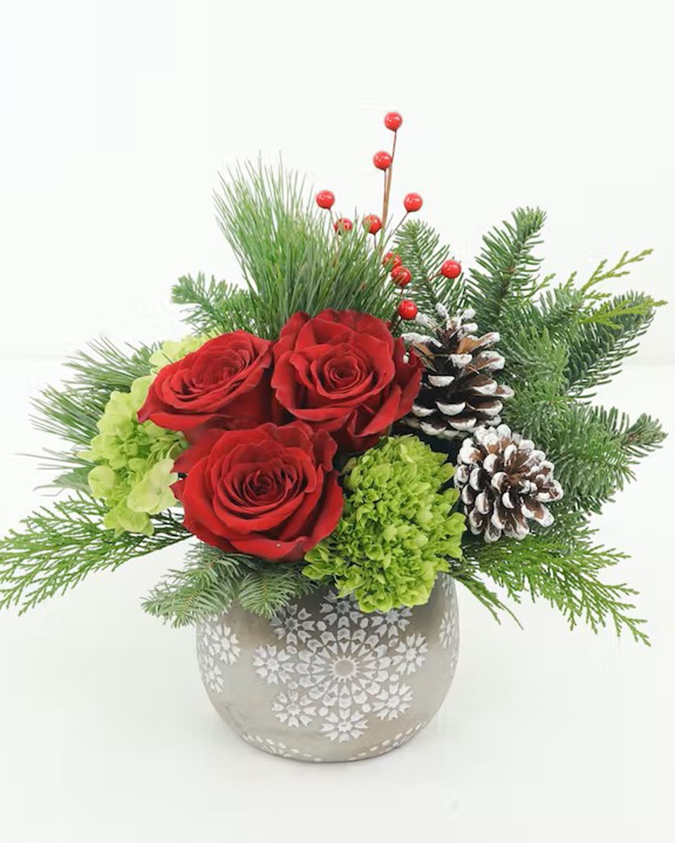 Seasons Greetings Seasons greetings Long-stem South American red roses pop off a pillow fluffy hydrangea accented by season greens, berries and pine cones all presented in a keepsake snowflake ceramic container.
DELIVERY: Every order is hand-delivered direct to the recipient. This item is only deliverable to local areas serviced by Allen’s Flower Market Stores. 
 