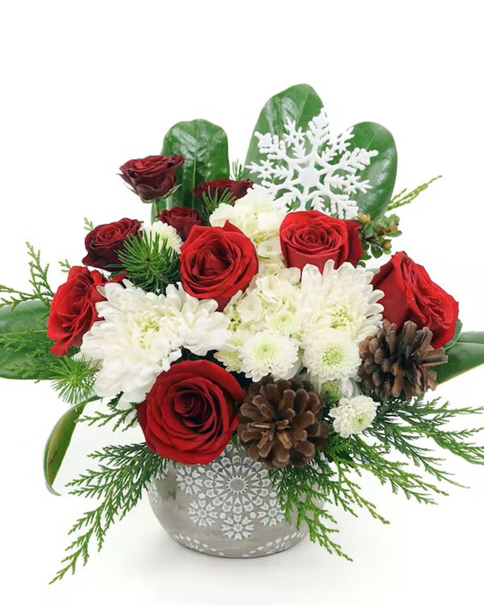 Snowy Days Snowy Days Bright red roses, deep red spray roses, fluffy white hydrangea, and more are designed with holiday greens and trimmings, including pine cones and snowflakes.
Presented in a 4.5 x 4.5 concrete snowflake container.
 
DELIVERY: Every order is hand-delivered direct to the recipient. This item is only deliverable to local areas serviced by Allen’s Flower Market Stores. 
 