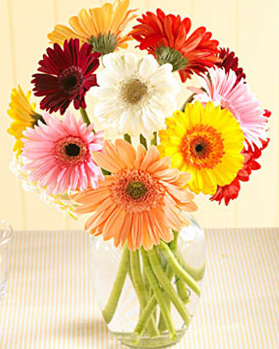 Gerbera Daisy Vase Regular Vase filled with beautiful colorful vibrant gerber daisies and a touch of greenery.
DELIVERY: Every order is hand-delivered direct to the recipient. These items will be delivered by us locally, or a qualified retail local florist.