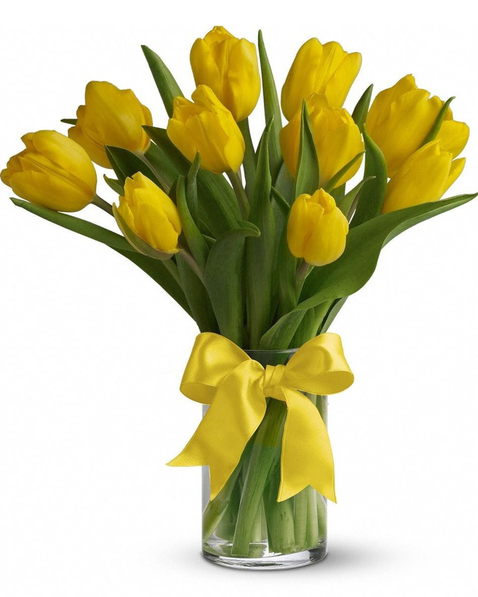 Yellow Tulips Standard (10 Tulips) Dazzling yellow tulips are delivered in an exclusive glass vase that's all wrapped up with…what else…a bright yellow ribbon. So go ahead and send sunshine.
DELIVERY: Every order is hand-delivered direct to the recipient. These items will be delivered by us locally, or a qualified retail local florist.