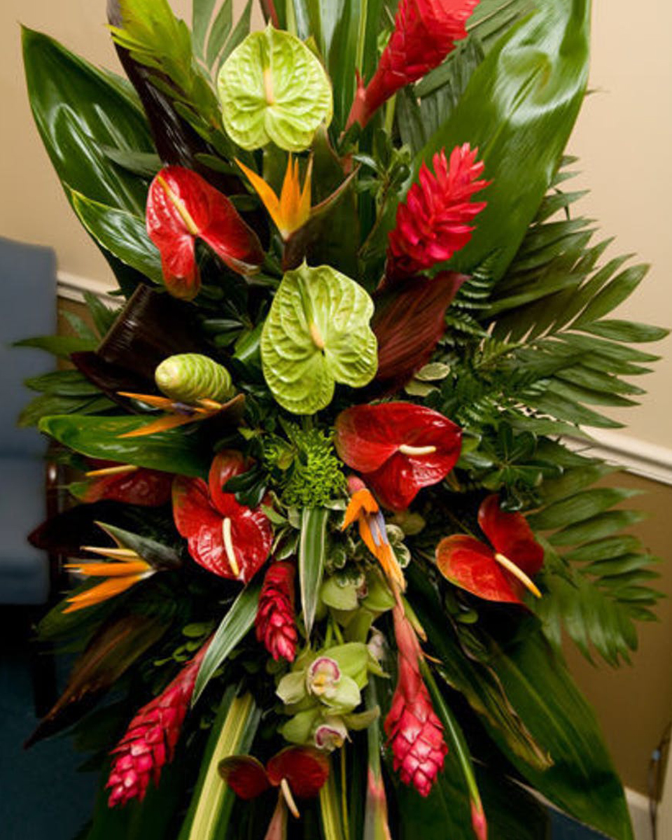 Memories on a Breeze Standard With birds of paradise, fresh ginger, red and green antherium, a touch of delicate orchids and tropical greens, this spray is artistically designed to represent your condolences.
DELIVERY: Every order is hand-delivered direct to the recipient. These items will be delivered by us locally, or a qualified retail local florist.
