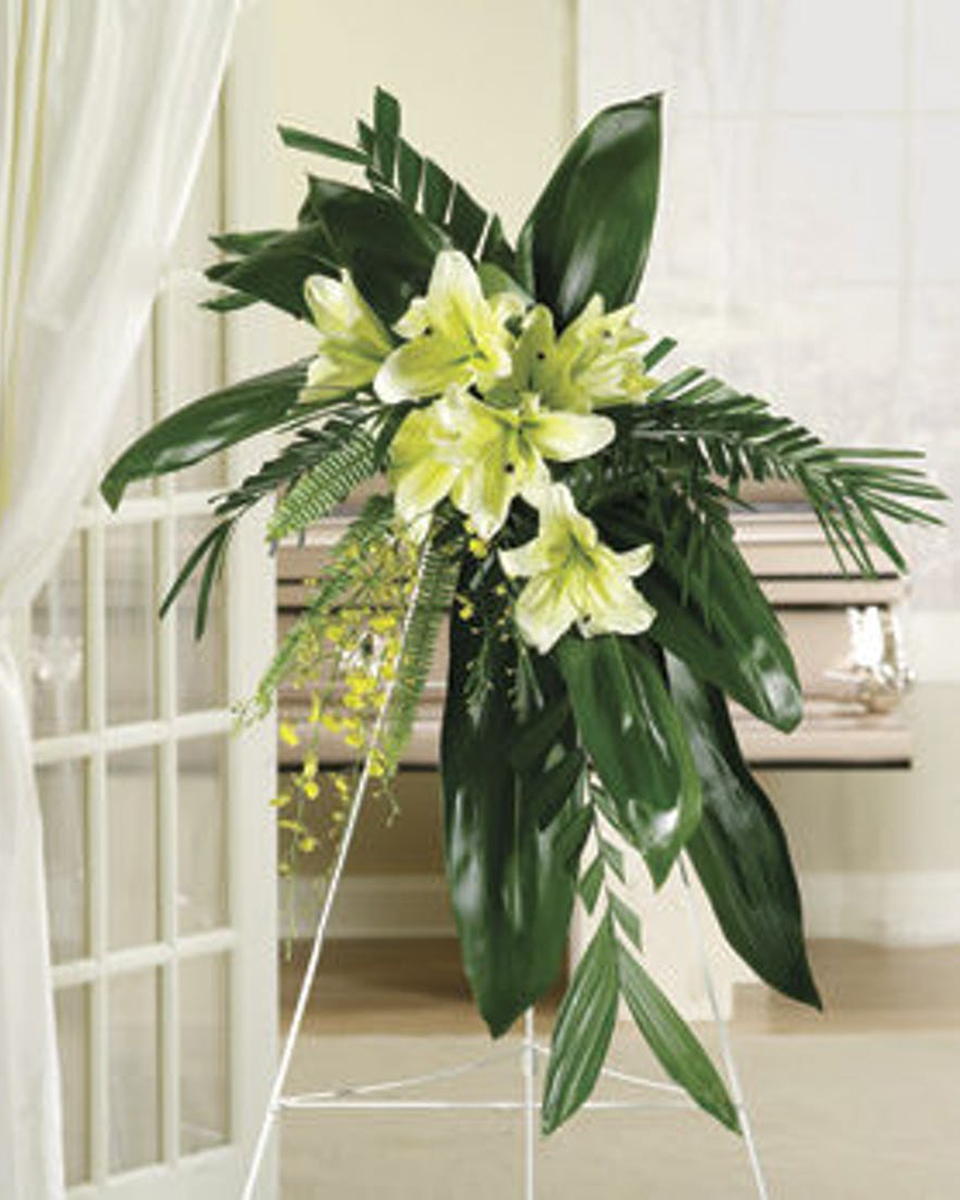 Green Peace Spray Standard Con-ca-dor Lillies, Oncydium Orchids, Ti Leaf, Commodore, and Break Fern comprise this Standing Spray.
DELIVERY: Every order is hand-delivered direct to the recipient. These items will be delivered by us locally, or a qualified retail local florist.