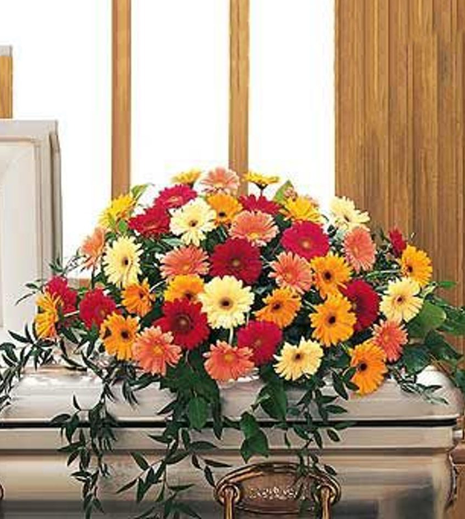 Gerbera Daisy Casket Spray Half Casket Spray-Standard This casket spray with its bright Gerbera Daisies offers hope and inspiration. It is created with a bright mixture of gold, hot pink, peach, red and yellow Gerbera Daisies.
DELIVERY: Every order is hand-delivered direct to the recipient. These items will be delivered by us locally, or a qualified retail local florist.