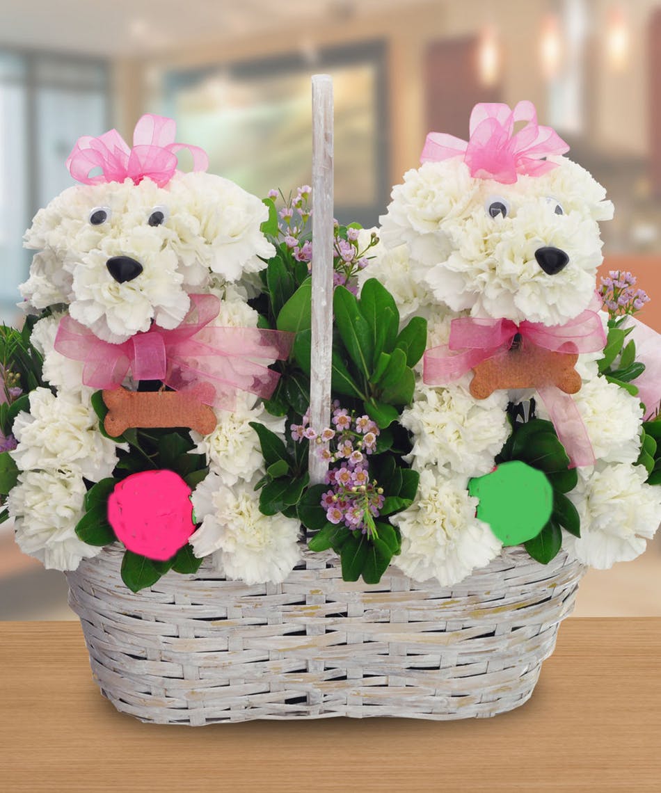 Twins Standard Adorable Twin Puppy Dogs made of white china mums and white carnations are designed in a white handle basket. Bows and assorted novelty items are incorporated to make a great gift for newborns, twins in particular, or children.
DELIVERY: Every order is hand-delivered direct to the recipient. These items will be delivered by us locally, or a qualified retail local florist.