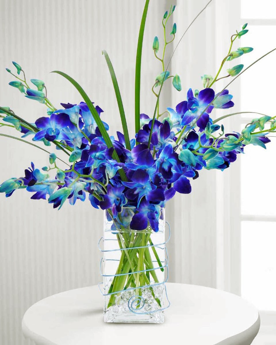 Sky Blue Standard Blue Dendrobium Orchids and Lilly Grass are crafted in a Blue Wire Decorated Cube Vase.
DELIVERY: Every order is hand-delivered direct to the recipient. These items will be delivered by us locally, or a qualified retail local florist.