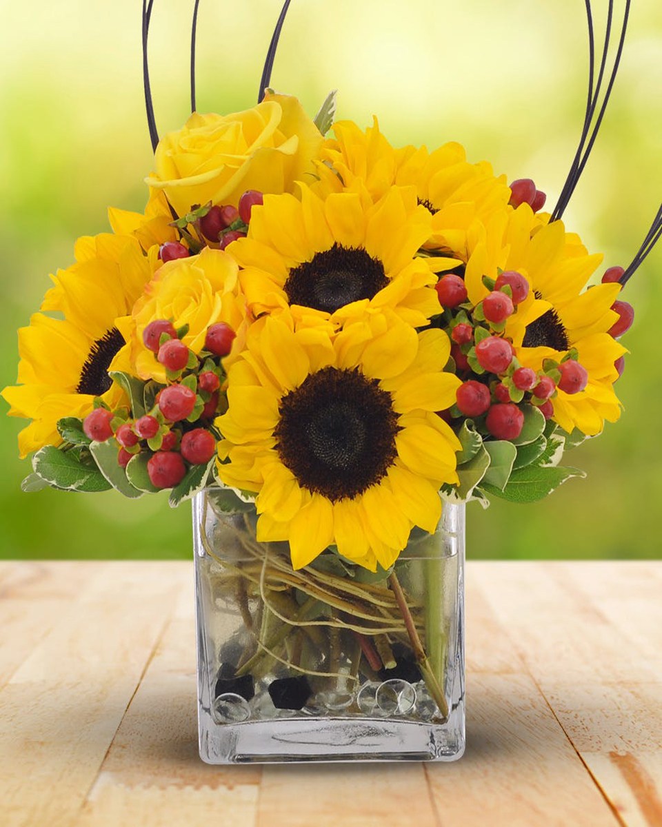 Sunshine Standard-in a 4 x 4 cube This spectacular design is as bright and bold as the dawn of a new day! Beautiful sunflowers and vibrant yellow roses highlight this wonderful bouquet with red berries accenting greenery in a glass cube vase.
DELIVERY: Every order is hand-delivered direct to the recipient. These items will be delivered by us locally, or a qualified retail local florist.