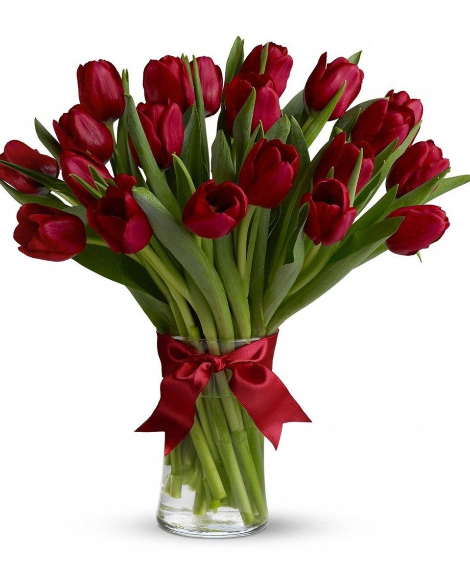 Radiant Red Tulips Deluxe (20 Tulips) 10, 20, Or 30  Radiant, Romantic, Red Tulips are arranged in a clear glass vase. Approximately 12