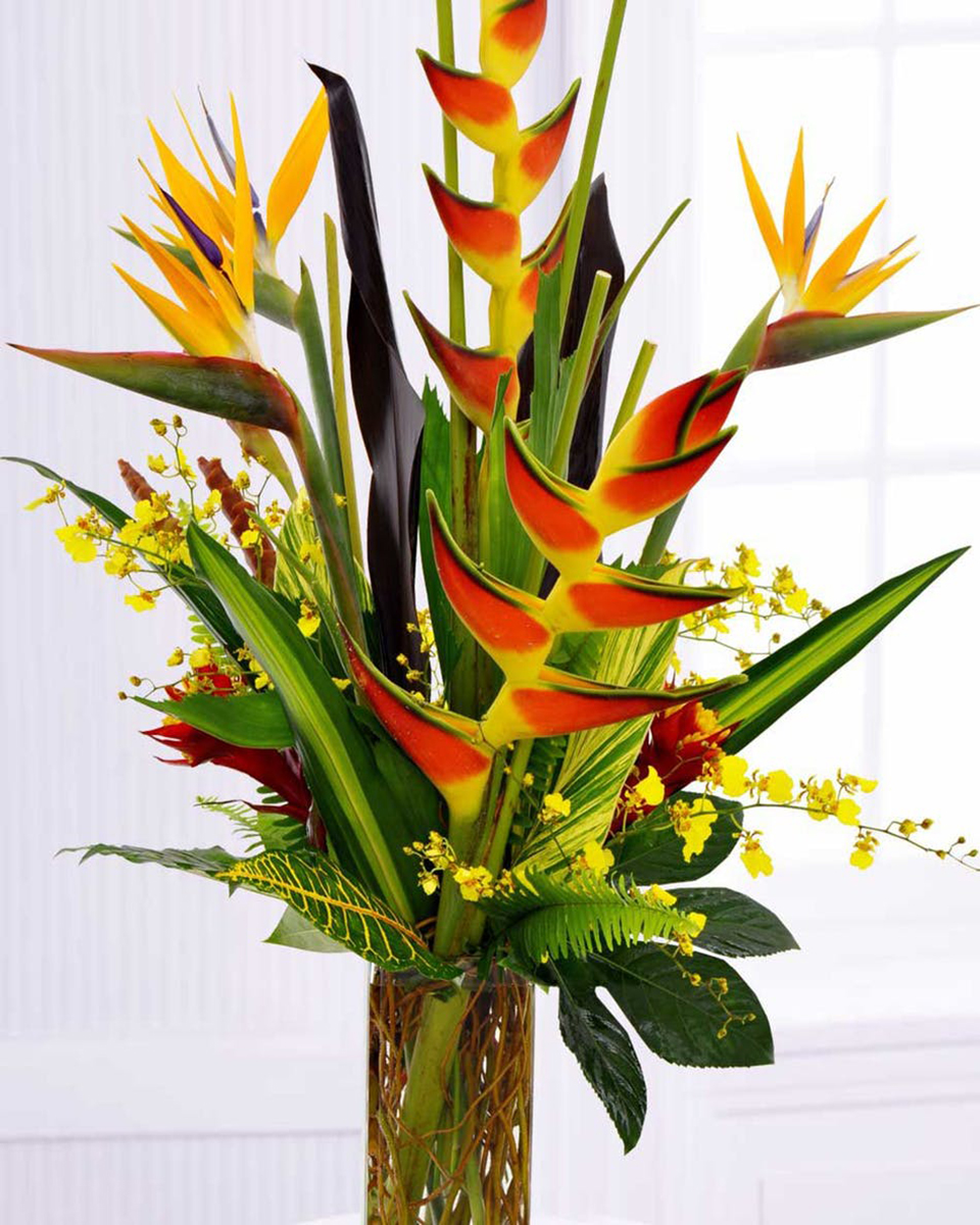 Jungle Love Jungle Love-Standard Tropical Exotic Heliconia, Birds of Paradise, Ginger, Oncydium Orchids, and a variety of Tropical foliage are designed in a glass cylinder that is decoratively lined with Curley Willow.
DELIVERY: Every order is hand-delivered direct to the recipient. These items will be delivered by us locally, or a qualified retail local florist.