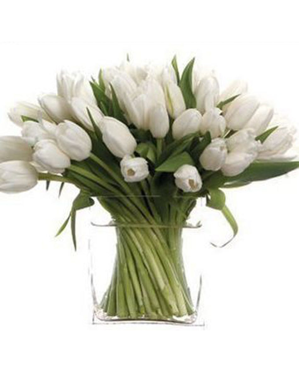 White Tulips Premium (30 Tulips) Snow white tulips bunched with colored wire are seated in a clear rectangular vase lined with river rocks.
DELIVERY: Every order is hand-delivered direct to the recipient. These items will be delivered by us locally, or a qualified retail local florist.