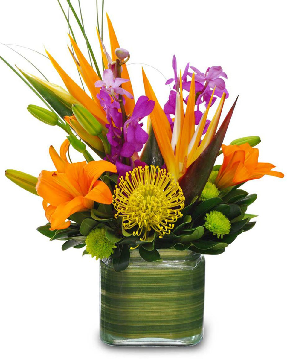 Green Tropic Standard (4 x 4 in cube) Birds of Paradise, Pin Cushion Protea, Green Yoko Ono Pom, Purple Dendrobium Orchids, Orange Tiger Lilly, and complimentary greens in a lined cube vase.
DELIVERY: Every order is hand-delivered direct to the recipient. These items will be delivered by us locally, or a qualified retail local florist.