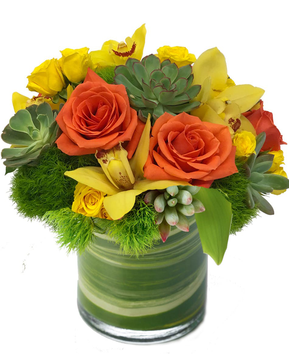 Autumn Winds Standard (in a 5 x 5 cylinder) Beautiful orange roses are arranged with exotic cymbidium orchid blooms and mixed with yellow mini roses and long lasting succulent cuts.  Arranged in a leaf lined glass cylinder, this floral arrangement makes a perfect gift for any occasion.
DELIVERY: Every order is hand-delivered direct to the recipient. These items will be delivered by us locally, or a qualified retail local florist.