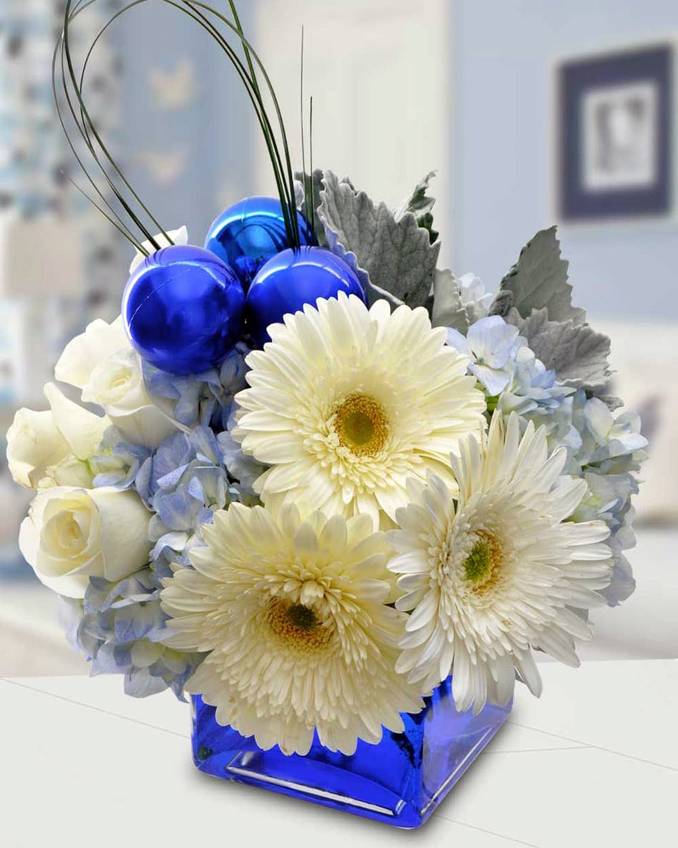 Miracle Standard (in a 5 x 5 inch Cube) White Gerbera Daisies, White Roses, Blue Hydrangea, Dusty Miller, Looped Bear Grass, and Blue Decorative Holiday Balls are arranged in a Blue Cube Vase. DELIVERY: Every order is hand-delivered direct to the recipient. These items will be delivered by us locally, or a qualified retail local florist.
