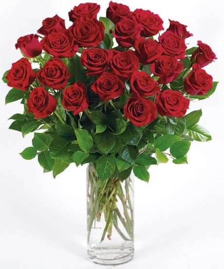 24 Red Roses arranged in a Vase
