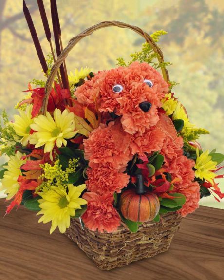 Beary orange-An Orange Floral Bear is accompanied by a host of autumn flowers, Cattails, Mini Pumpkins, and Fall foliage that are crafted into a handled, rustic basket.-Fall Arrangement