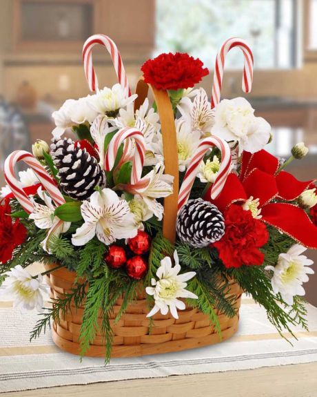 candy cane Lane-White Pom Pons, White Alstroemaria, Red Carnations, Red Berries, Pine Cones, Cedar, a Red Ribbon, and of course, Candy Canes, are designed in Tan Handle Basket.-christmas Arrangement