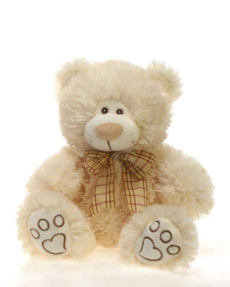 Happy teddy bear-A 9.5 inch Smiling Teddy Bear. Soft and Hugable-teddy Bear