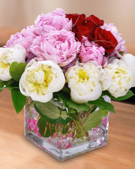 Peony and Roses