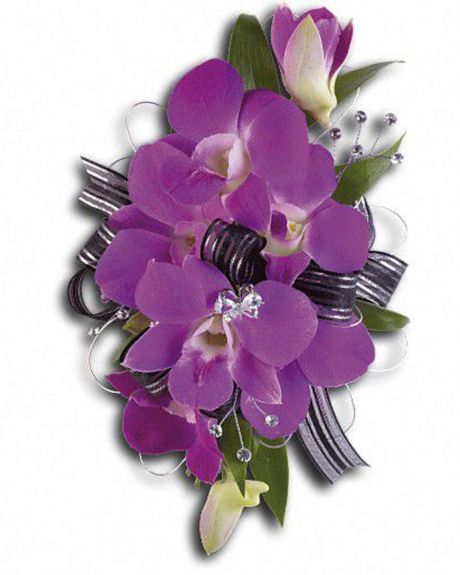 Dendrobium Corsage Wristlet