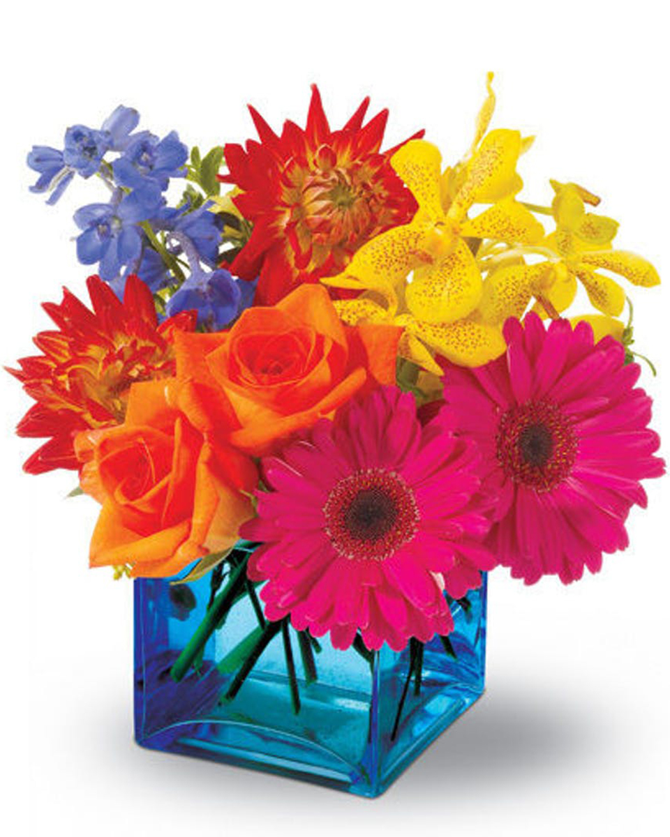 Calypso Calypso-Standard Summertime is a state of mind, with its dreams of aqua-tinged days at the beach. And this paradise bouquet – a mix of hot-colored blossoms in an oceanic blue glass cube vase – will bring a bit of calypso magic to brighten someone’s day. A sizzling summer treat!
DELIVERY: Every order is hand-delivered direct to the recipient. These items will be delivered by us locally, or a qualified retail local florist.